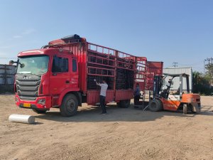 金用護欄2021年4月19日鋅鋼護窗欄桿發貨！